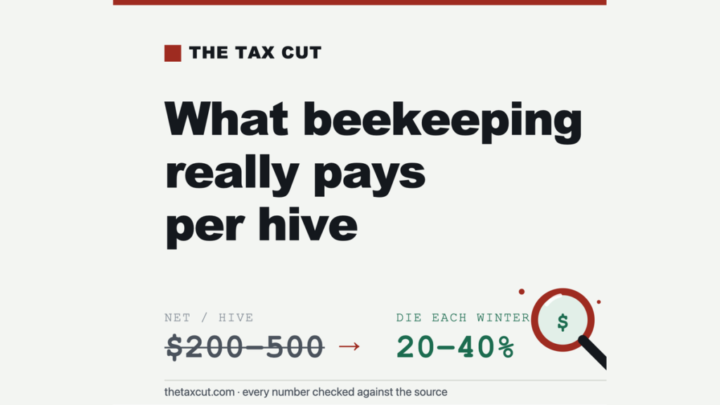 Is Beekeeping Profitable? $200–$500 a Hive — but 20–40% Die Every Winter