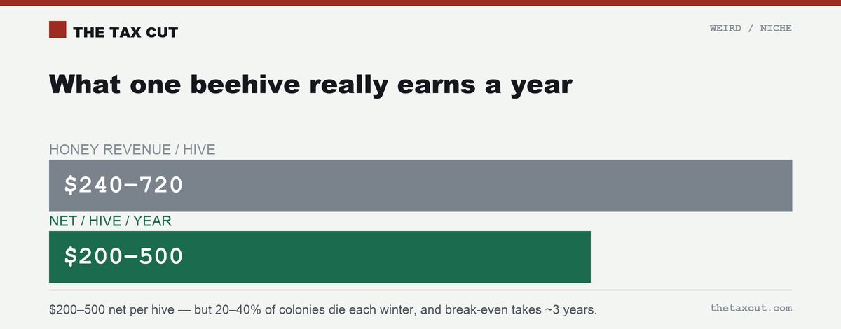 What one beehive really earns a year: $240–$720 in honey revenue, $200–$500 net after costs.