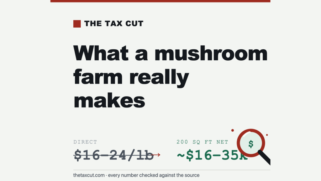Gourmet Mushroom Farm Profit: The Money Is in the Sales Channel, Not the Yield